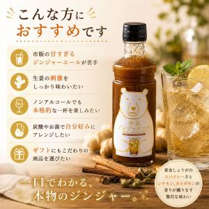 本気ジンジャエール 300ml 希釈用 シロッ...の詳細画像3
