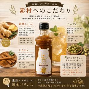 本気ジンジャエール 300ml 希釈用 シロッ...の詳細画像4