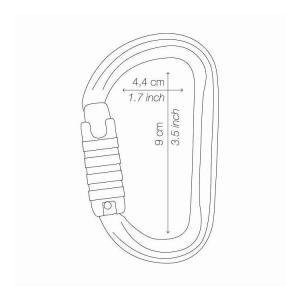 PETZL ペツル カラビナ エーエムディ ト...の詳細画像1