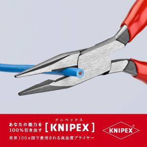 KNIPEX クニペックス 2501-125 ...の詳細画像1