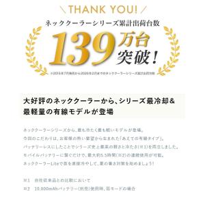 バッテリーセット クーラー 冷却プレート ネッ...の詳細画像2