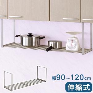 田窪工業所 水切りネット付きパイプ棚 120cm DN2-120 田窪工業所 公団2段水切棚 120cm 2KJ-1202 : くらし壱番館 - 通販