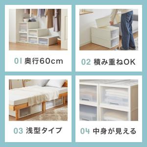 日本製 収納 ケース 浅型6個セット 奥行60...の詳細画像4