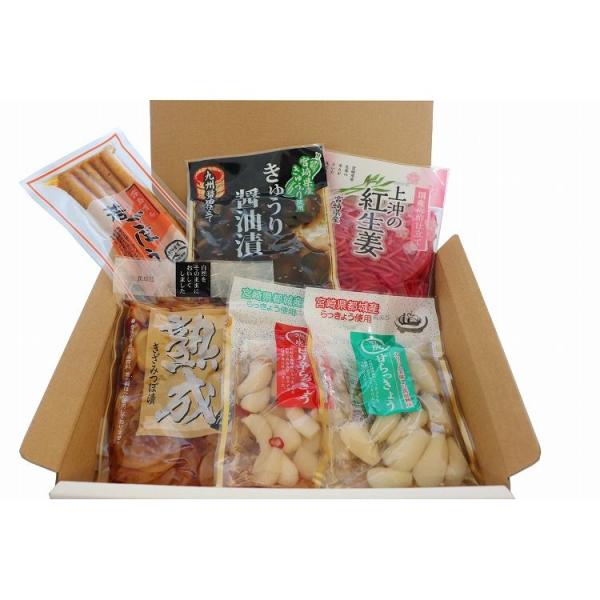 宮崎 上沖産業 宮崎発 ご当地漬物詰合せ ギフト 産直 ご当地グルメ 熨斗 贈り物 新生活 お祝い ...