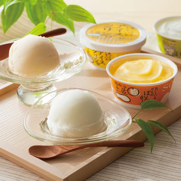 高知 土佐 高知アイスセット ギフト スイーツ デザート お菓子 グルメ 人気 おすすめ グルメ 人...