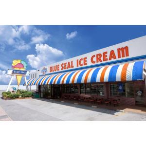 ブルーシール アイス 12個 セット 詰め合わ...の詳細画像3