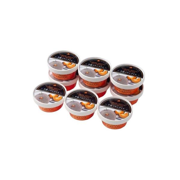 北海道 夕張メロンアイス 9個 食品 ギフト プレゼント 贈答 熨斗 のし 贈り物 記念日 お祝い ...