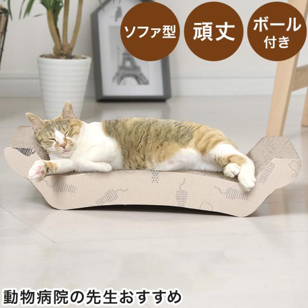 爪とぎ 猫 動物病院の先生がお勧め ソファ型 ダンボール かわいい 段ボール 頑丈 ガリガリ ねこ ...