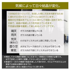 ストームグラス BAW11007 天気予報グラ...の詳細画像2