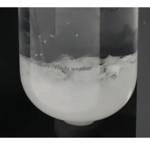 ストームグラス BAW11007 天気予報グラ...の詳細画像4