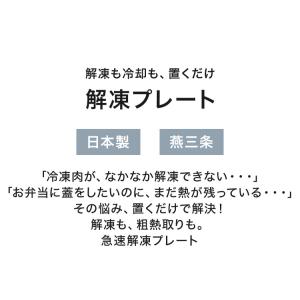 日本製 燕三条 解凍時のドリップが落ちる 穴あ...の詳細画像1