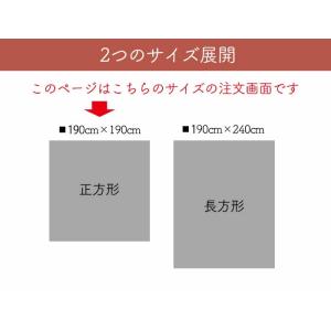 ディズニー コタツ上掛け 正方形 カバー 防水...の詳細画像5