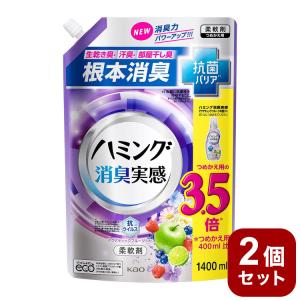 2個セット ハミング 消臭実感 柔軟剤 アクアティックフルーツ 詰め替え ウルトラジャンボ 1400ml 花王 大容量｜recommendo