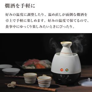 電気 酒燗器 酒呑み大将 AYT-04 タマハ...の詳細画像2