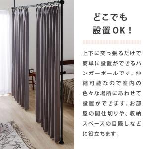 間仕切り 突っ張りカーテンポール STTC-1...の詳細画像4