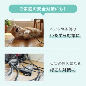 隠せる ゲーム機収納ラック PS5/Switc...の詳細画像3
