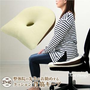 整体院の先生がお勧めする クッション 背筋キープ 約37×40cm 低反発ウレタンチップ ネックセラピー 背筋が伸びる 猫背改善 代引不可