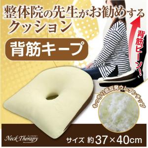 整体院の先生がお勧めする クッション 背筋キー...の詳細画像1
