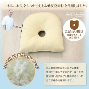 整体院の先生がお勧めする クッション 背筋キー...の詳細画像4