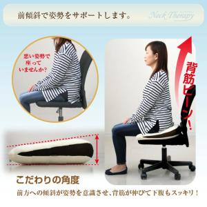 整体院の先生がお勧めする クッション 背筋キー...の詳細画像5