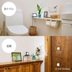 トライテラス 植物育成ライト プラントテラス1...の詳細画像3
