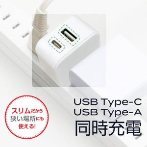 3個セット エアージェイ 2ポートスリムAC充...の詳細画像2