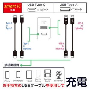 3個セット エアージェイ 2ポートスリムAC充...の詳細画像3