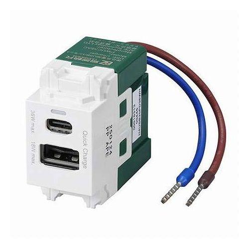 YAZAWA 埋込USBコンセント PD36W ACアダプタを使わずに直接充電が可能なUSBコンセン...