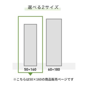 brisafe 割れない鏡 スタンド 50×1...の詳細画像3