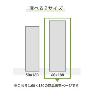 brisafe 割れない鏡 スタンド 60×1...の詳細画像3