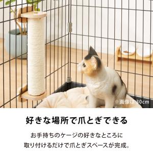 爪とぎ ケージ取り付け 40cm 猫 ポール ...の詳細画像1