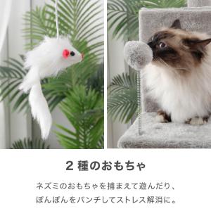 選べる2タイプ キャットタワー ツリーハウス ...の詳細画像4