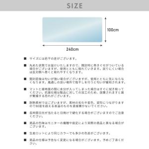 キッチンマット 100×240cm クリア 透...の詳細画像1