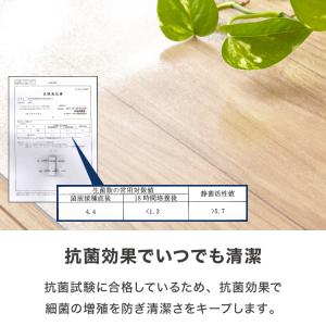 冷蔵庫マット PVC XXS 49×60cm ...の詳細画像5