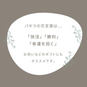 人工観葉植物 パキラ 一本 フェイクグリーン ...の詳細画像2