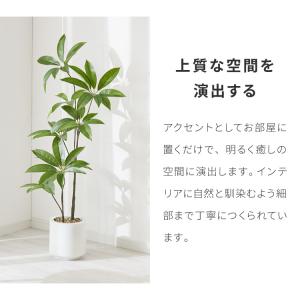 人工観葉植物 パキラ 一本 フェイクグリーン ...の詳細画像3