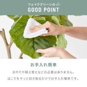人工観葉植物 パキラ 一本 フェイクグリーン ...の詳細画像4
