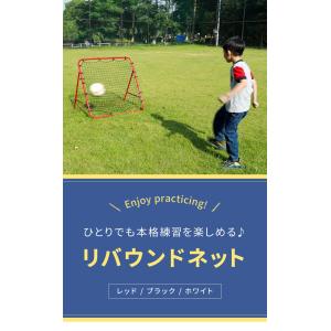 リバウンドネット 角度調節 ペグ付き 壁打ち ...の詳細画像3