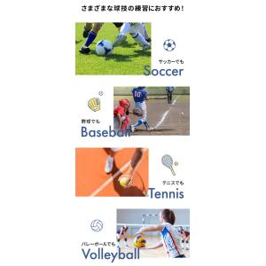 リバウンドネット 角度調節 ペグ付き 壁打ち ...の詳細画像4