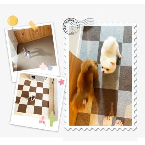 吸着タイルマット 20枚セット 30×30cm...の詳細画像5