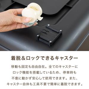 ペットキャリー キャリーケース XL 犬 大型...の詳細画像5