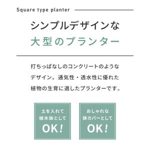 プランター 大型 40×40cm スクエア グ...の詳細画像1