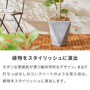 プランター 大型 32cm×32cm 三角形 ...の詳細画像3