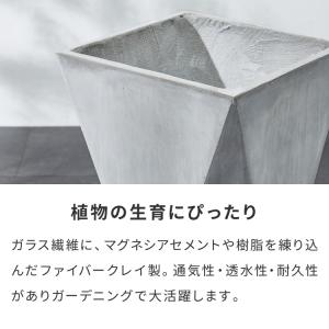 プランター 大型 32cm×32cm 三角形 ...の詳細画像5