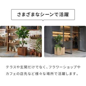 プランター 大型 55cm×55cm スクエア...の詳細画像5