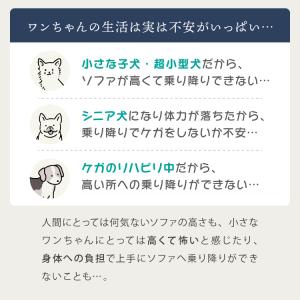 ドッグステップ 3段 スロープ 幅45cm ド...の詳細画像1