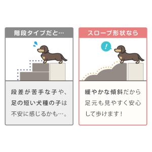 ドッグステップ 3段 スロープ 幅45cm ド...の詳細画像5