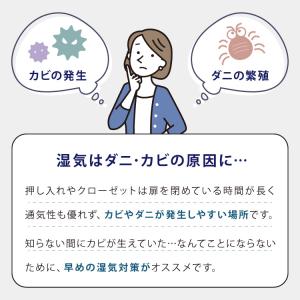 すのこ 押入れ収納 8枚セット 桐 桐すのこ ...の詳細画像2