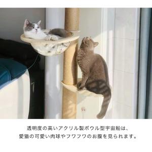 クリアボウル キャットツリー用 追加パーツ 単...の詳細画像5