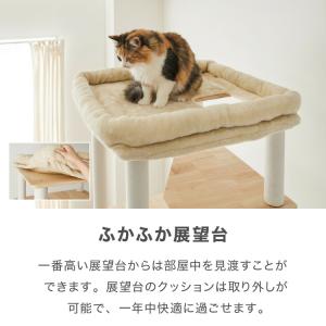 キャットタワー 木製 据え置き 大型猫 68×...の詳細画像4
